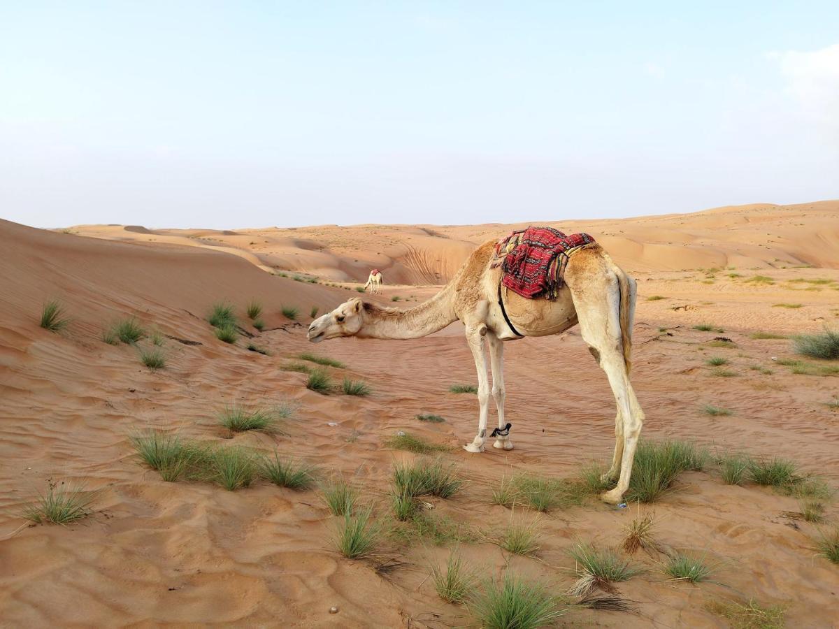 Sands Dream Tourism Camp Shāhiq Kültér fotó